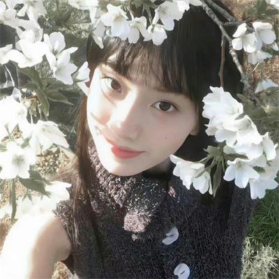 动物们的言语