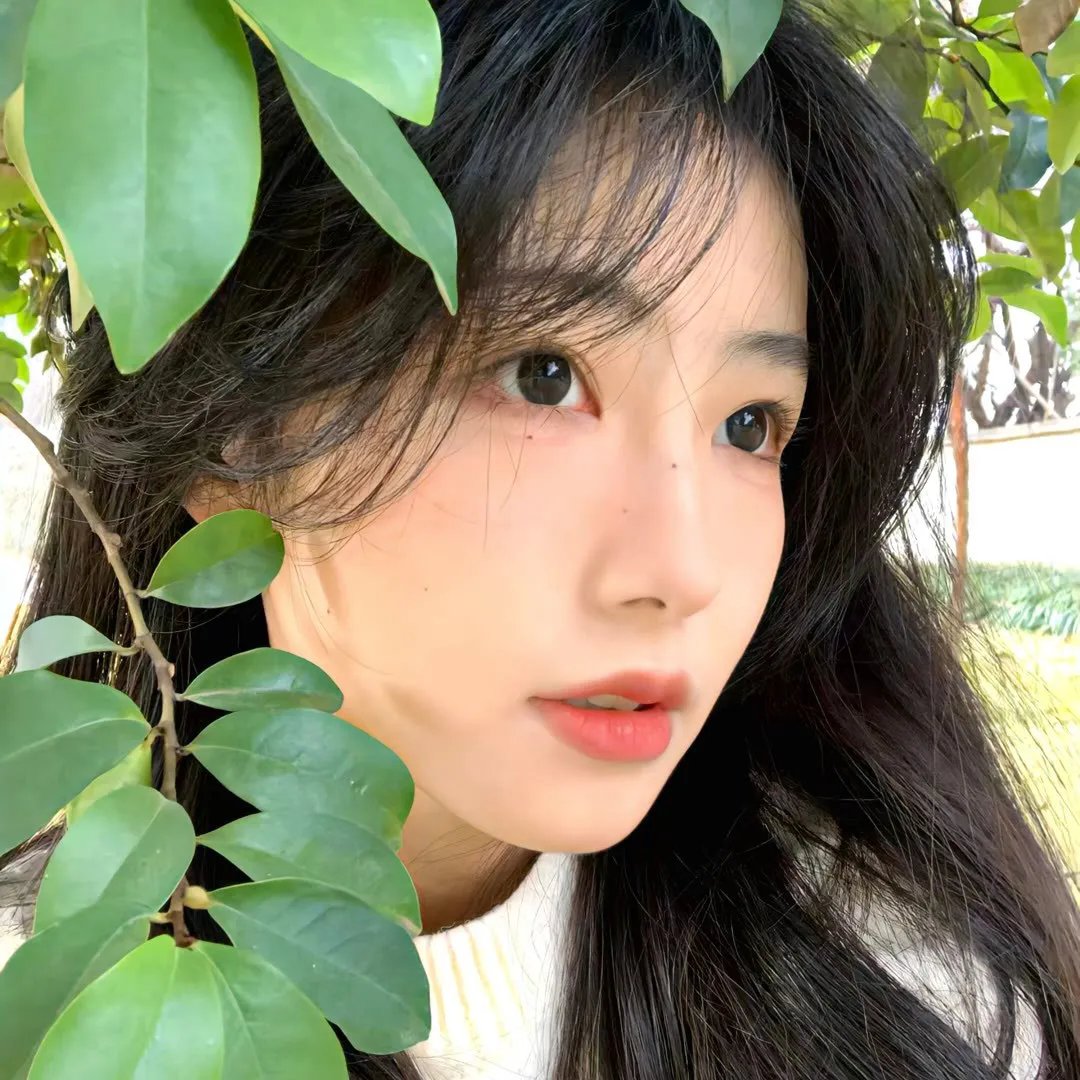 国王与王后
